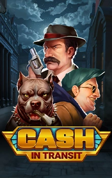 cash_in_transit